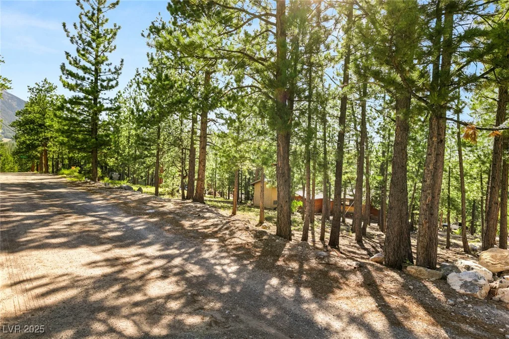 2130 Via Spes Nostra, Mount Charleston, NV 89124