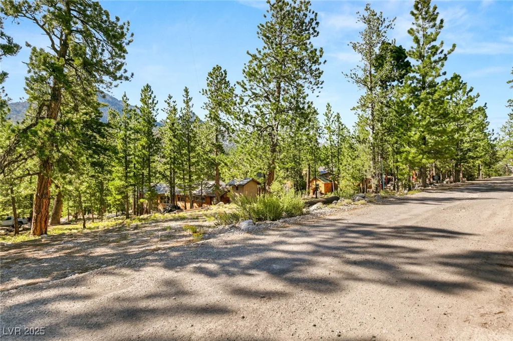 2130 Via Spes Nostra, Mount Charleston, NV 89124