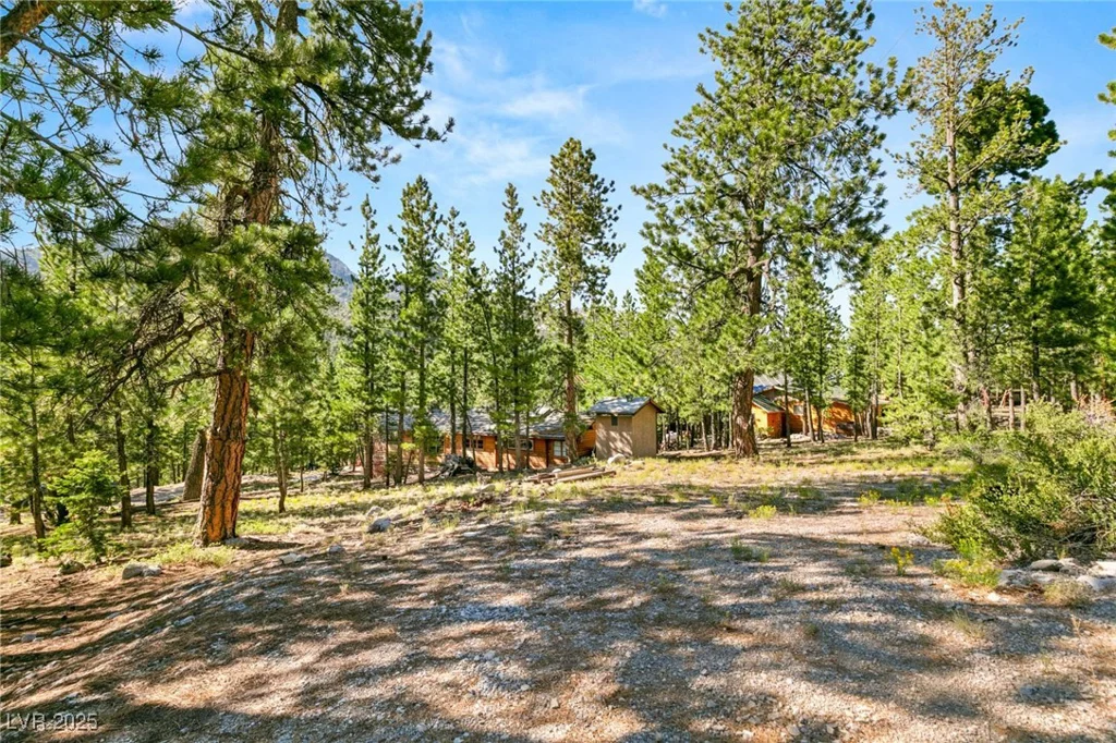 2130 Via Spes Nostra, Mount Charleston, NV 89124