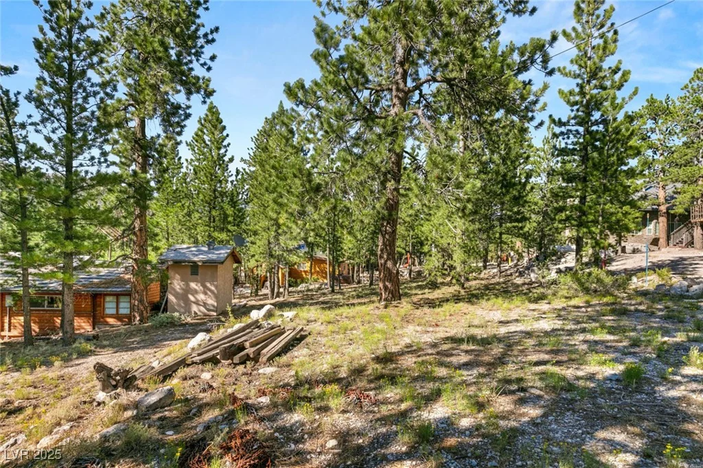 2130 Via Spes Nostra, Mount Charleston, NV 89124