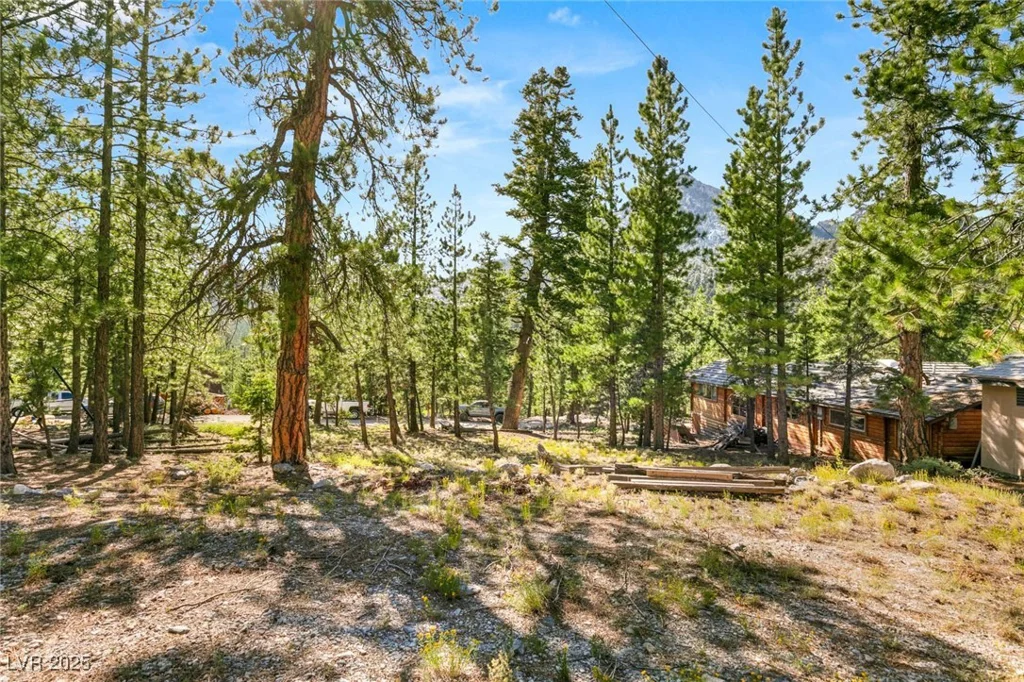 2130 Via Spes Nostra, Mount Charleston, NV 89124