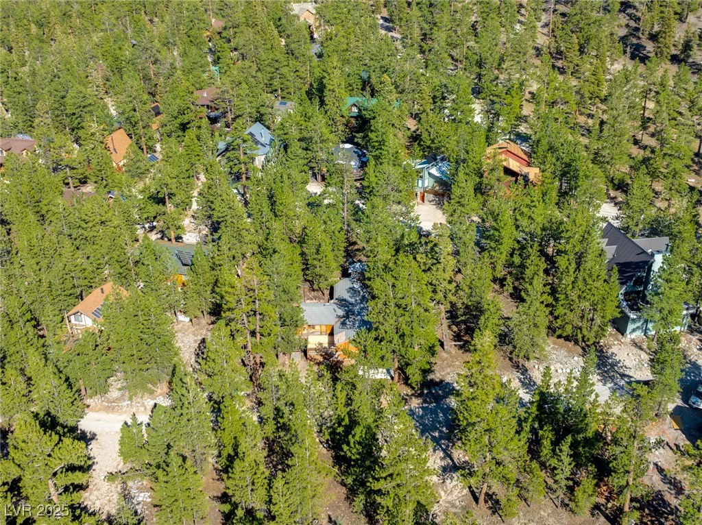 2130 Via Spes Nostra, Mount Charleston, NV 89124