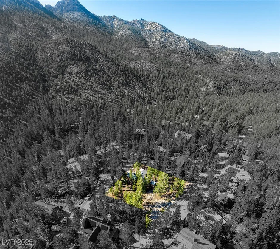 2130 Via Spes Nostra, Mount Charleston, NV 89124
