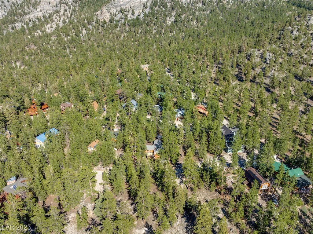 2130 Via Spes Nostra, Mount Charleston, NV 89124
