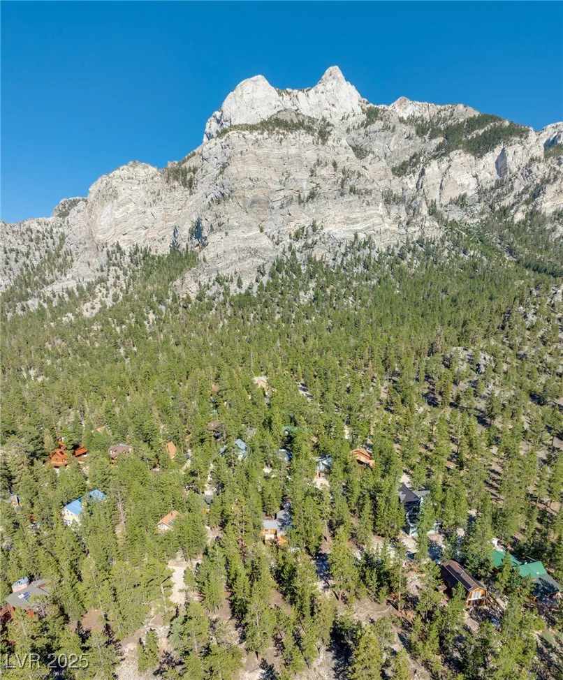 2130 Via Spes Nostra, Mount Charleston, NV 89124