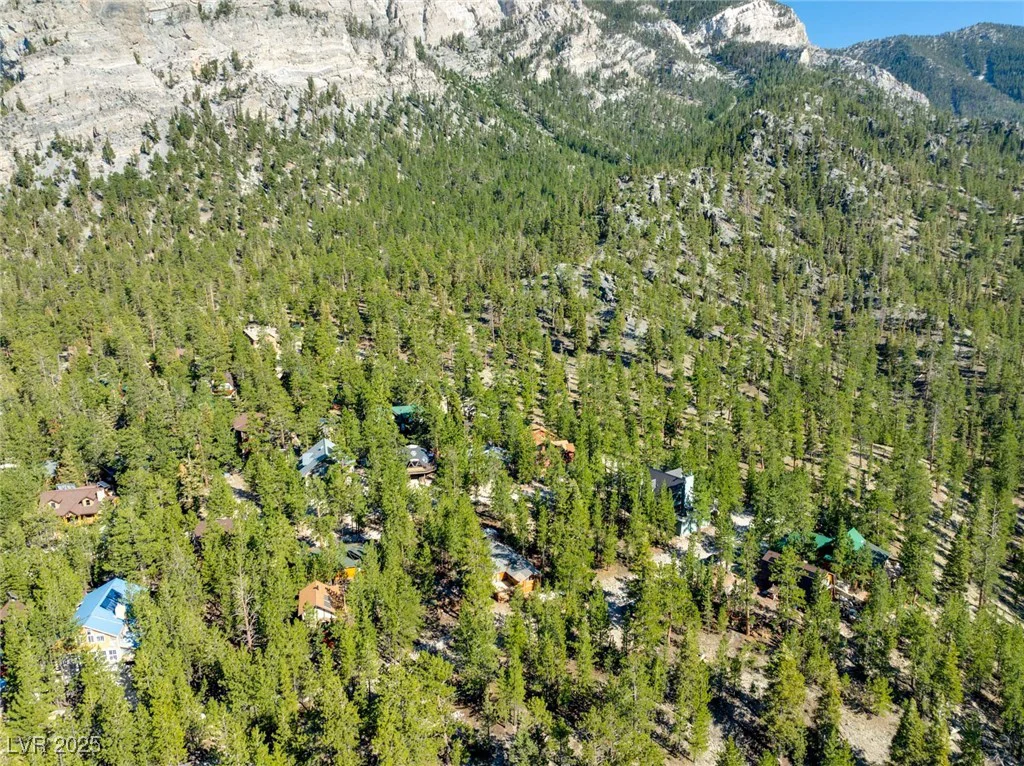 2130 Via Spes Nostra, Mount Charleston, NV 89124