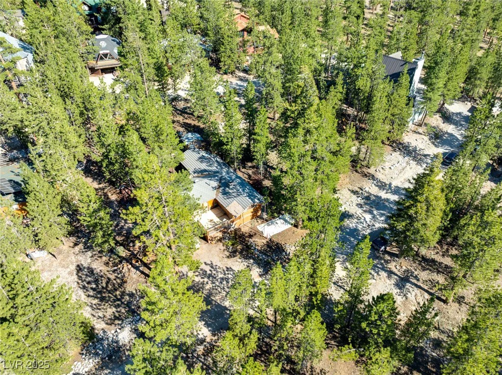 2130 Via Spes Nostra, Mount Charleston, NV 89124
