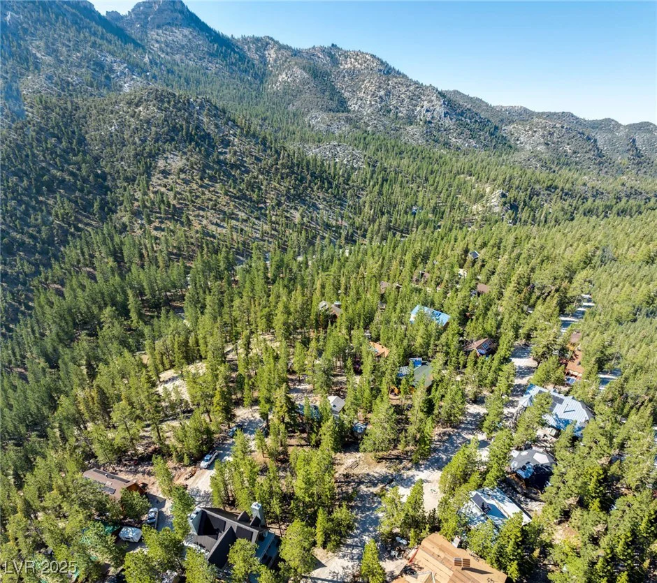 2130 Via Spes Nostra, Mount Charleston, NV 89124