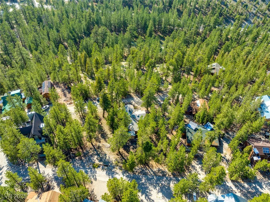 2130 Via Spes Nostra, Mount Charleston, NV 89124