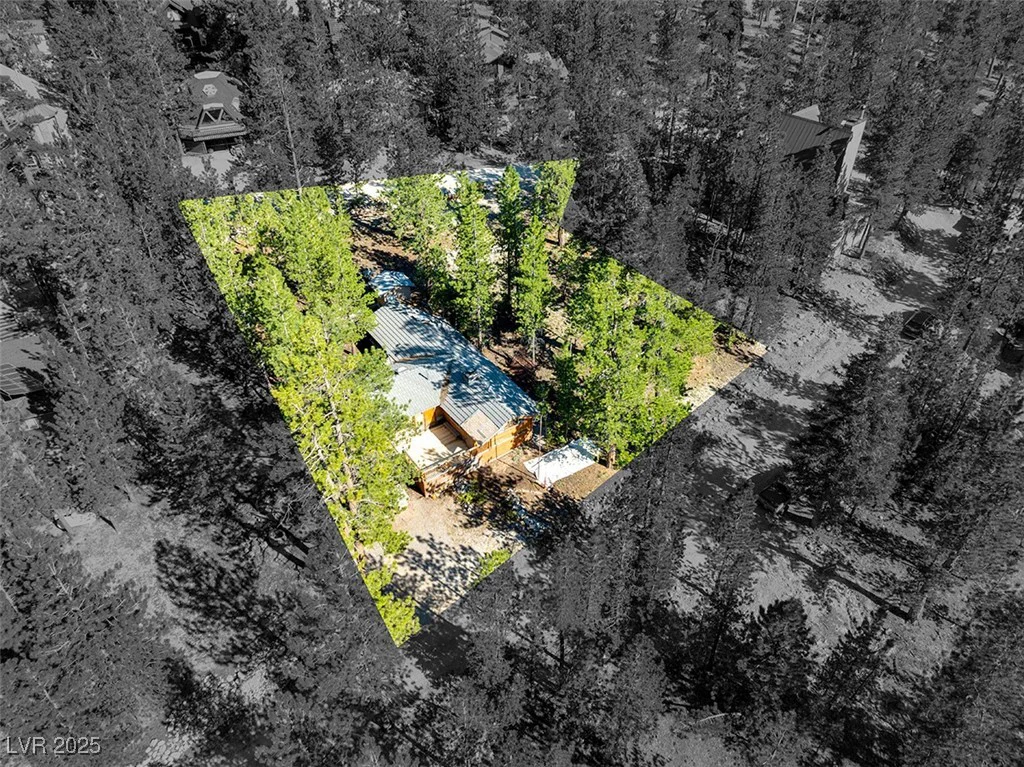 2130 Via Spes Nostra, Mount Charleston, NV 89124