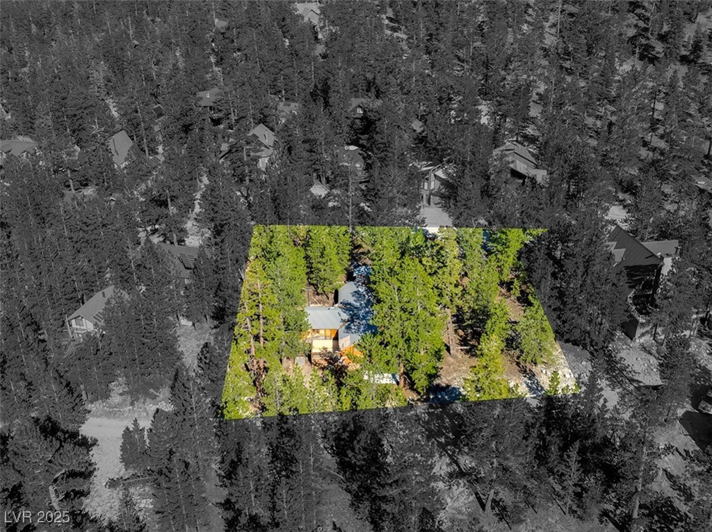 2130 Via Spes Nostra, Mount Charleston, NV 89124