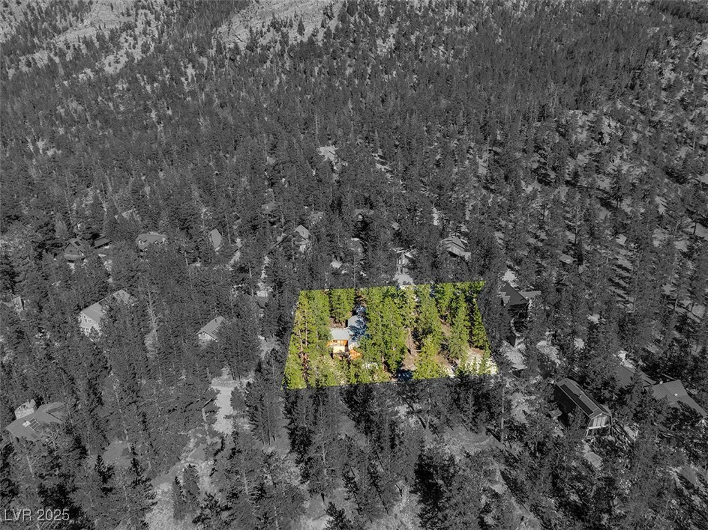 2130 Via Spes Nostra, Mount Charleston, NV 89124