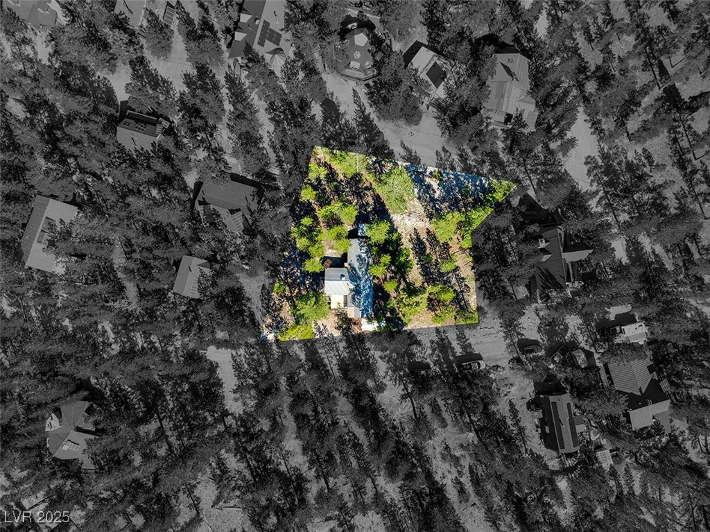 2130 Via Spes Nostra, Mount Charleston, NV 89124