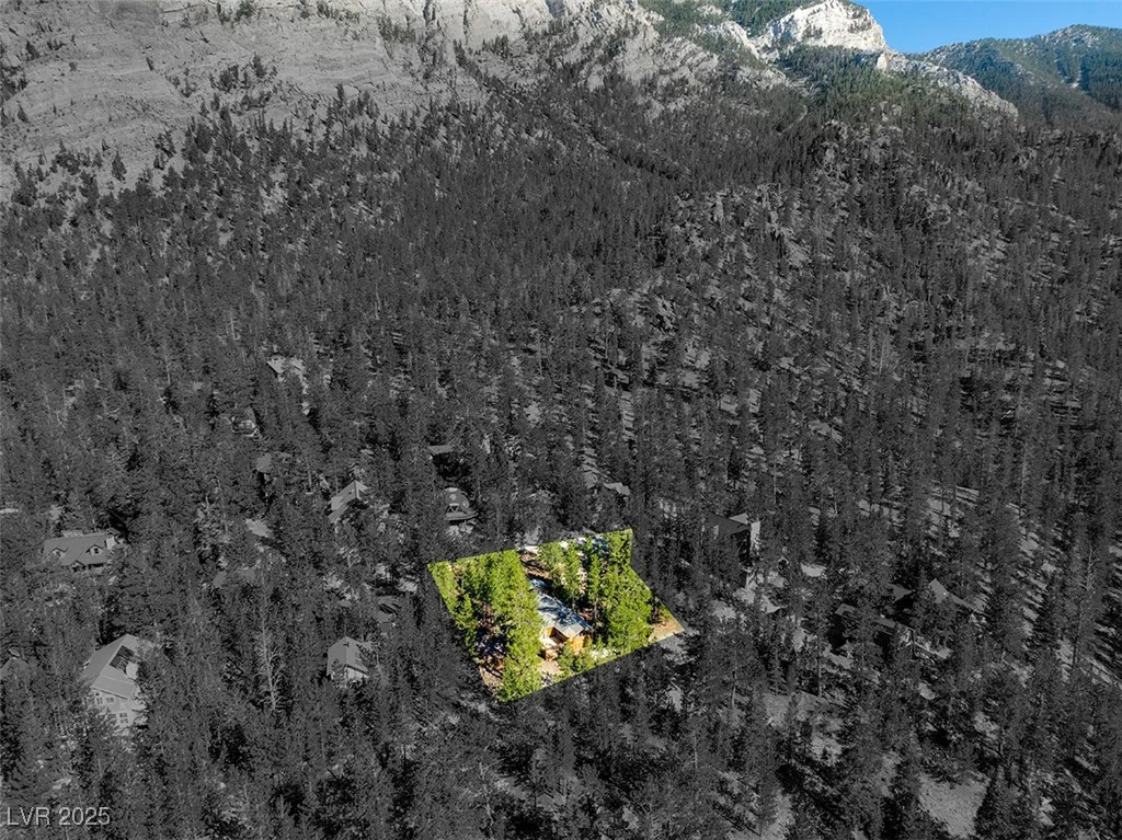 2130 Via Spes Nostra, Mount Charleston, NV 89124