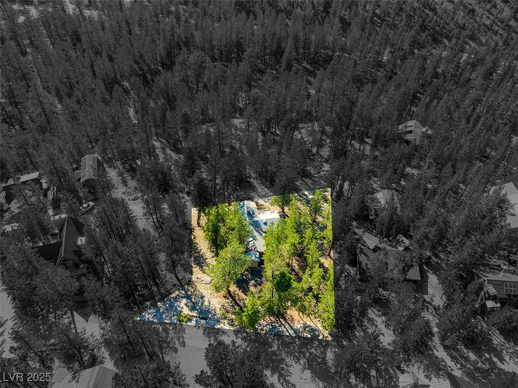 2130 Via Spes Nostra, Mount Charleston, NV 89124