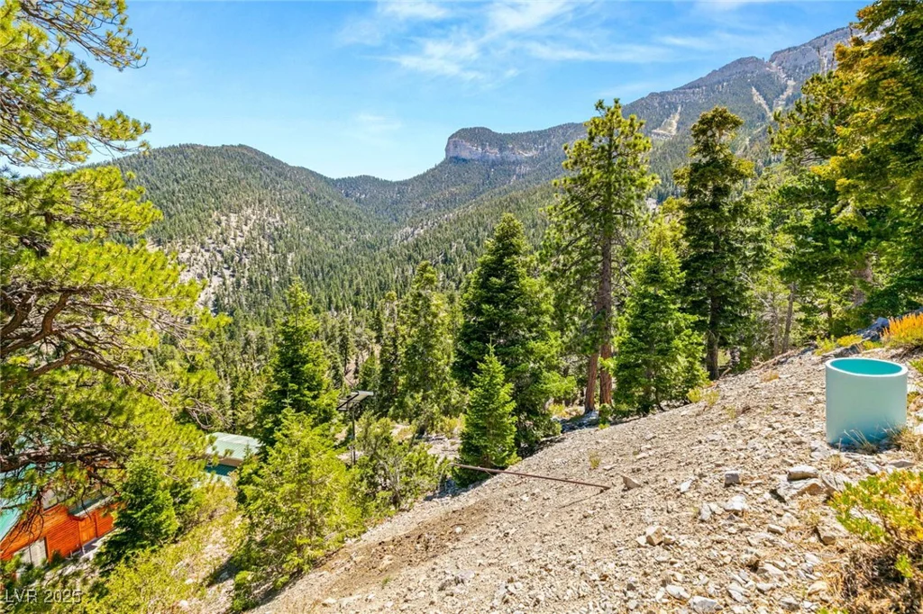 APN 128-07-410-001, Mount Charleston, NV 89124