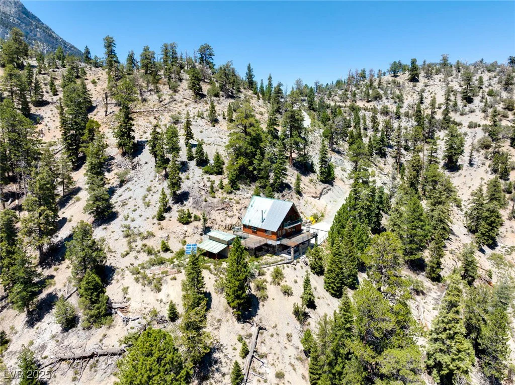 APN 128-07-410-001, Mount Charleston, NV 89124