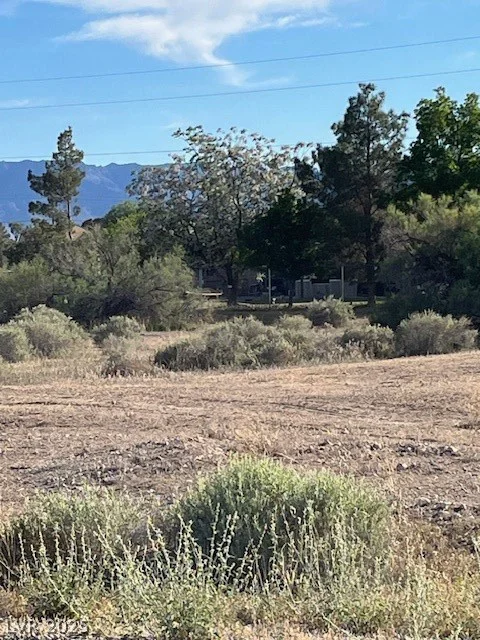 2221 Manzanita, Pahrump, NV 89048