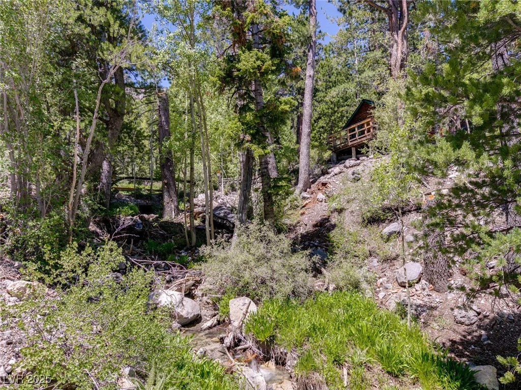 4075 Cougar Ridge, Mount Charleston, NV 89124