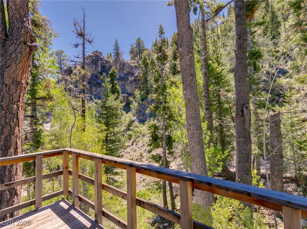 4075 Cougar Ridge, Mount Charleston, NV 89124