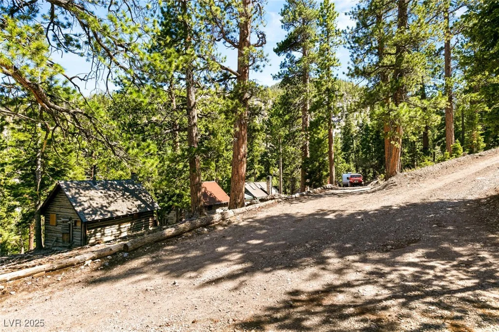 4075 Cougar Ridge, Mount Charleston, NV 89124