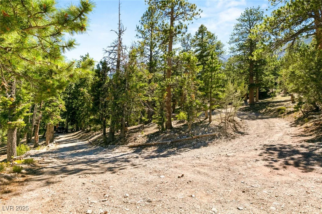 4075 Cougar Ridge, Mount Charleston, NV 89124