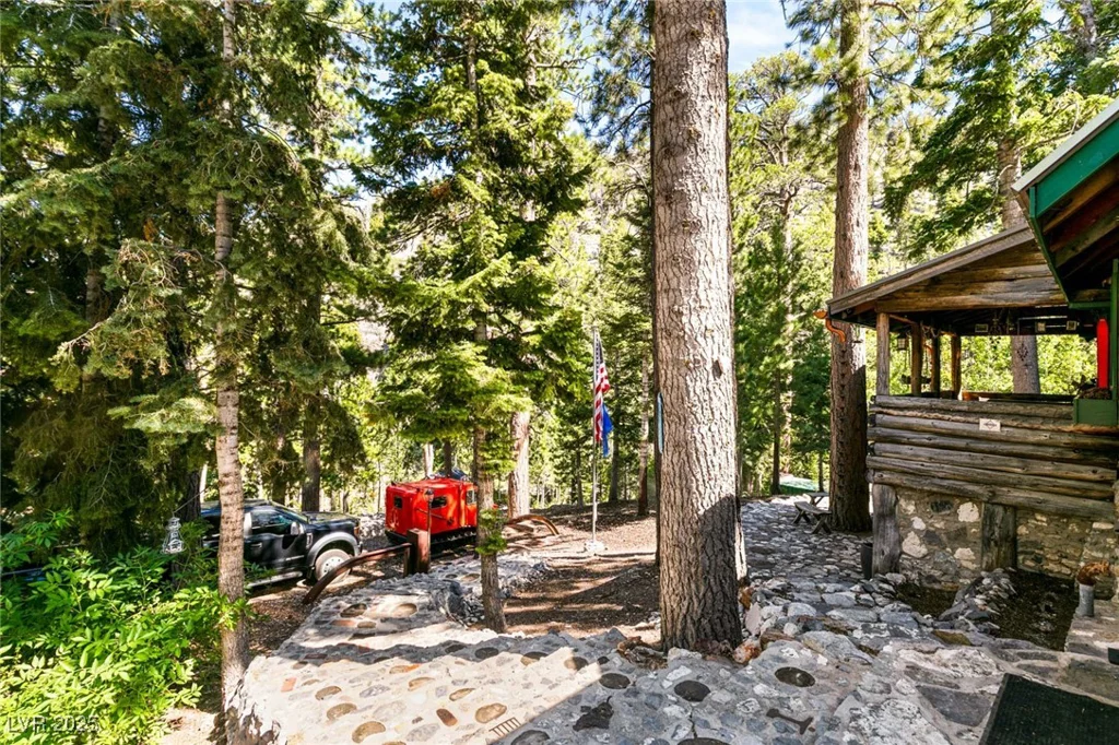 4075 Cougar Ridge, Mount Charleston, NV 89124
