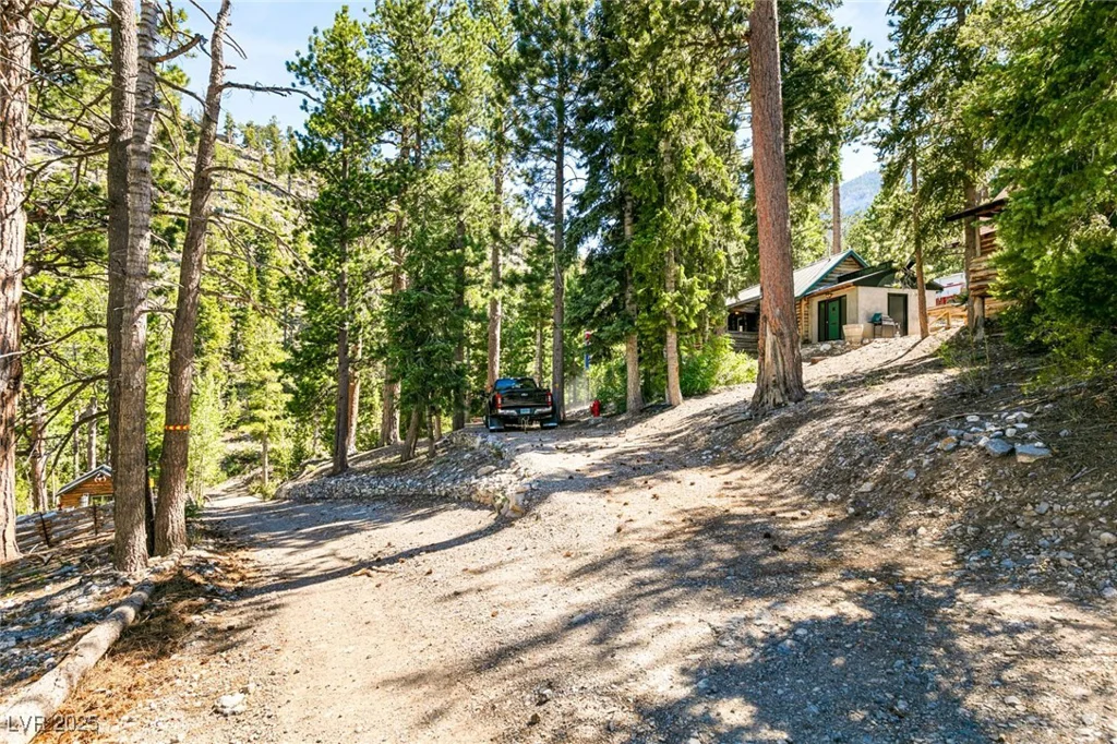 4075 Cougar Ridge, Mount Charleston, NV 89124