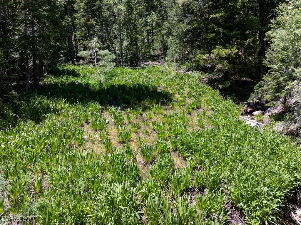 4075 Cougar Ridge, Mount Charleston, NV 89124