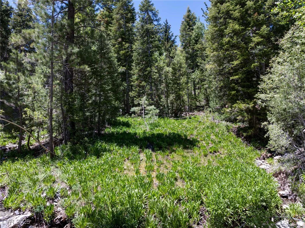 4075 Cougar Ridge, Mount Charleston, NV 89124