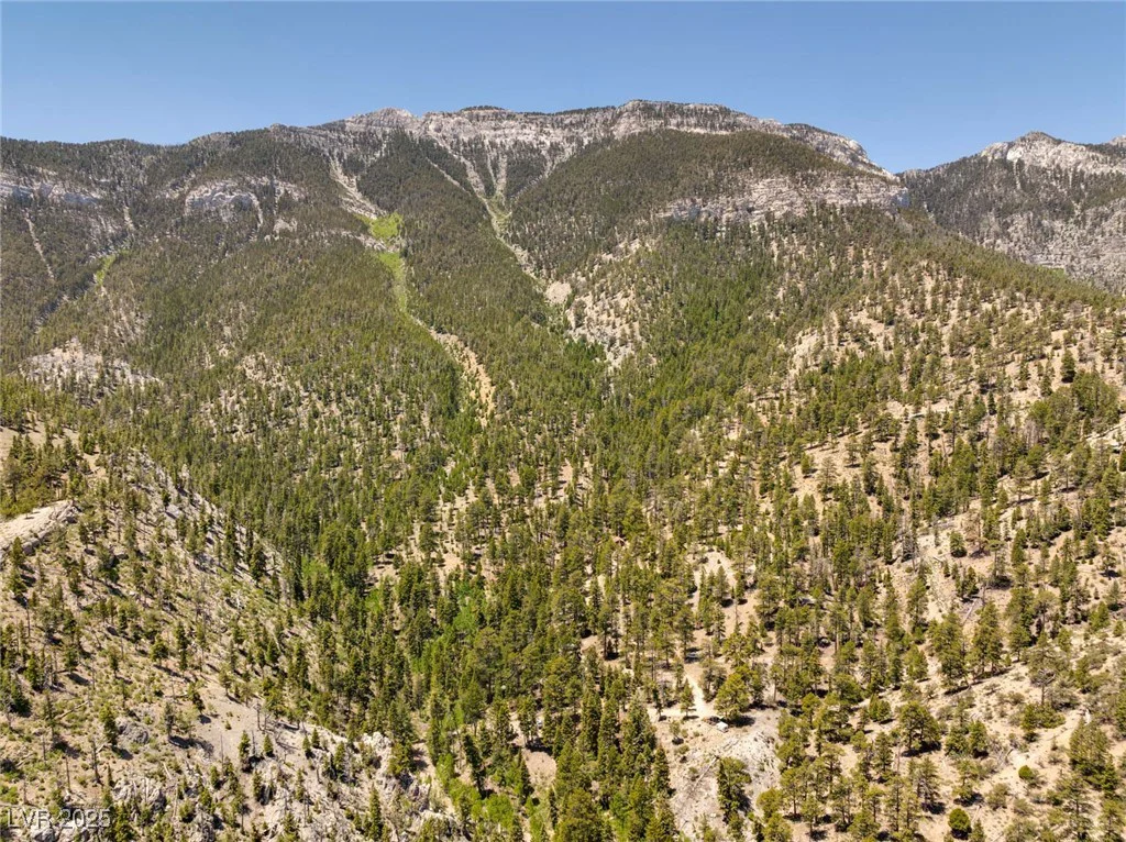 4075 Cougar Ridge, Mount Charleston, NV 89124