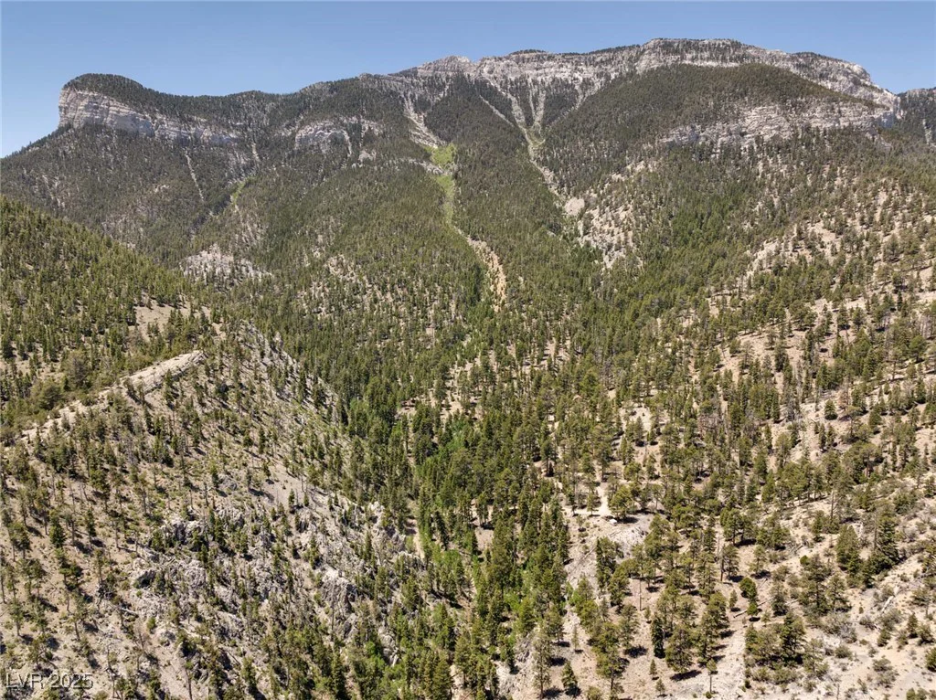 4075 Cougar Ridge, Mount Charleston, NV 89124