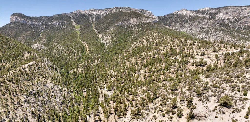 4075 Cougar Ridge, Mount Charleston, NV 89124