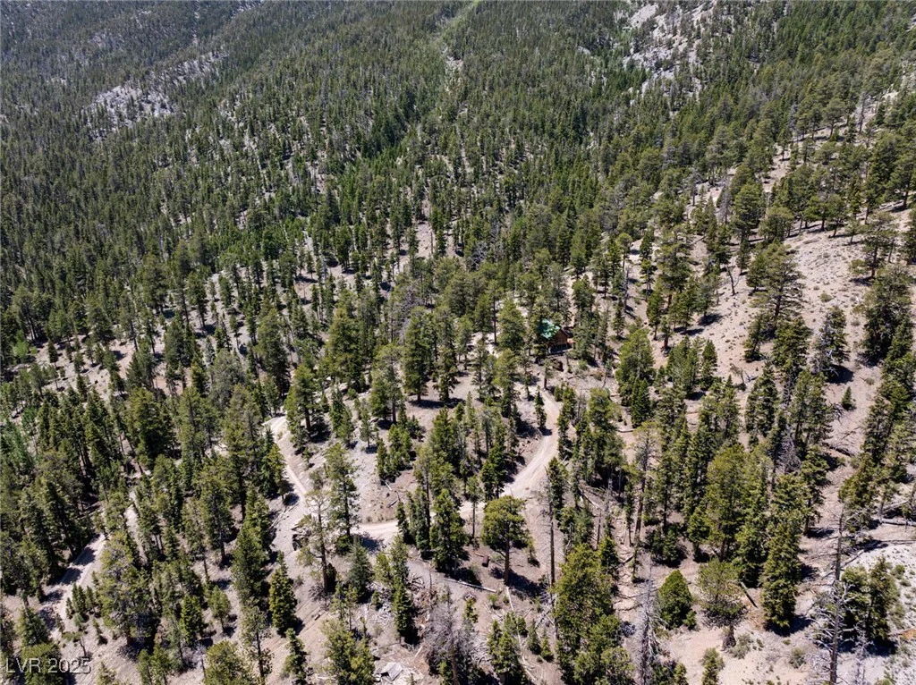 4075 Cougar Ridge, Mount Charleston, NV 89124