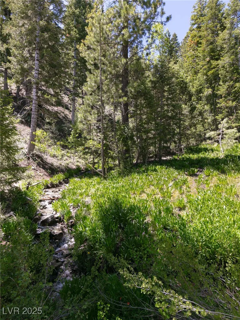 4075 Cougar Ridge, Mount Charleston, NV 89124