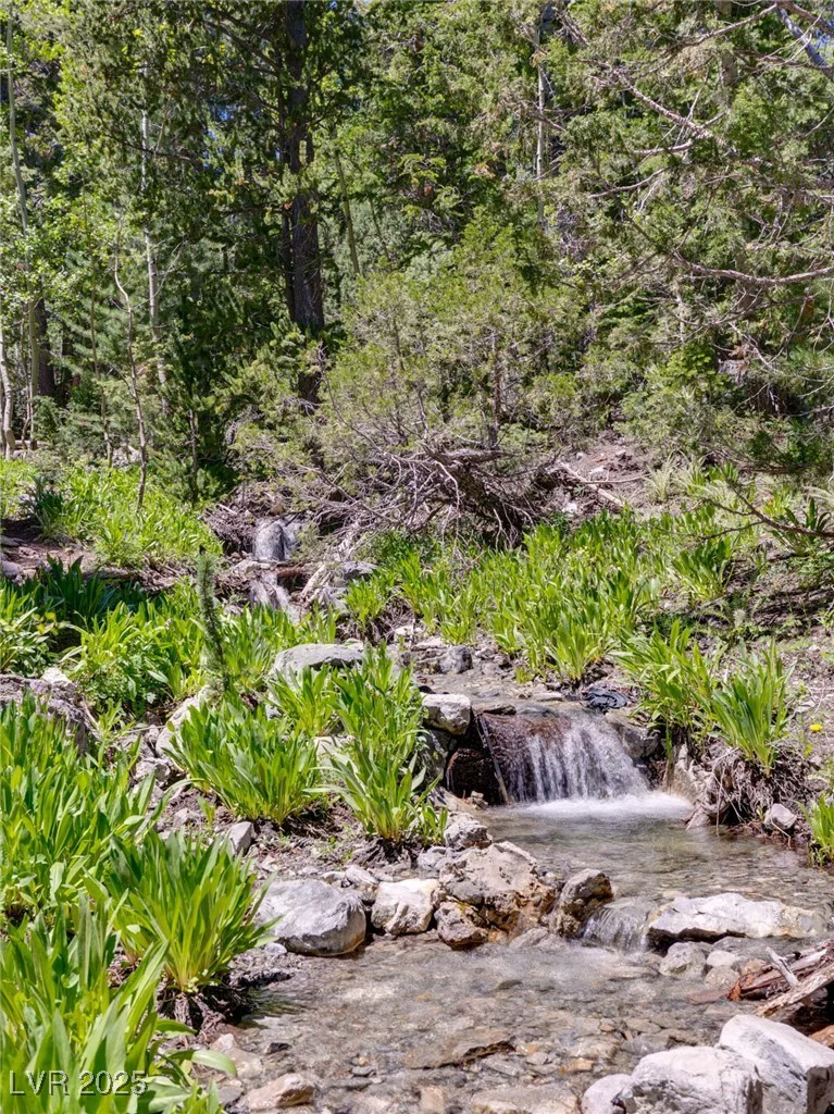 4075 Cougar Ridge, Mount Charleston, NV 89124
