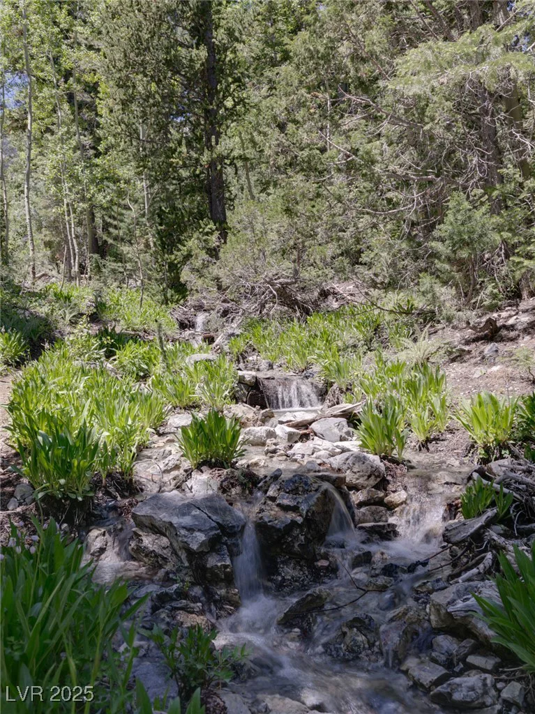 4075 Cougar Ridge, Mount Charleston, NV 89124