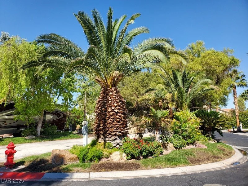 8175 Arville, Las Vegas, NV 89139