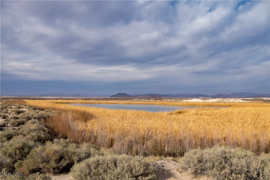 5770 Peterson, Amargosa Valley, NV 89020