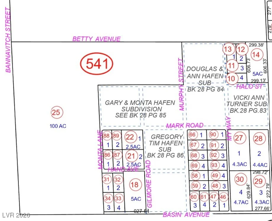 3751 Betty, Pahrump, NV 89060
