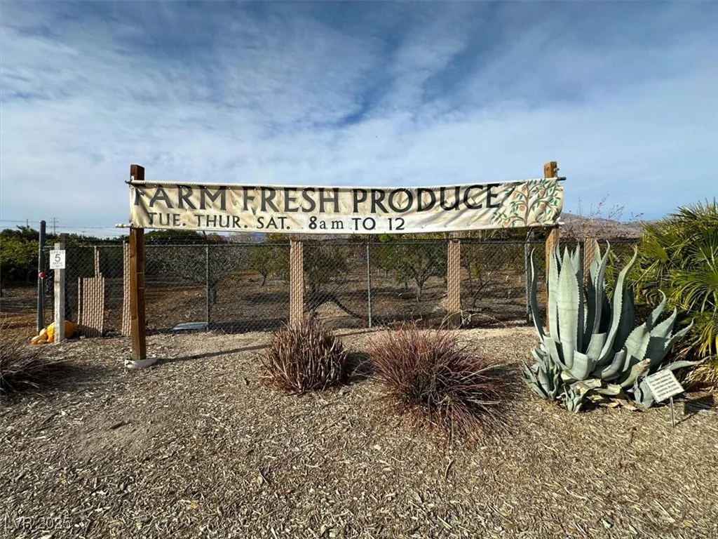 7230 Fresh Harvest, Las Vegas, NV 89131