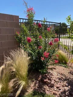 5119 Long Leaf, Pahrump, NV 89061