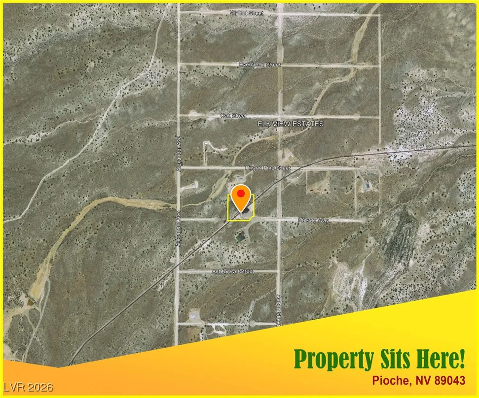 675 Gino, Pioche, NV 89043