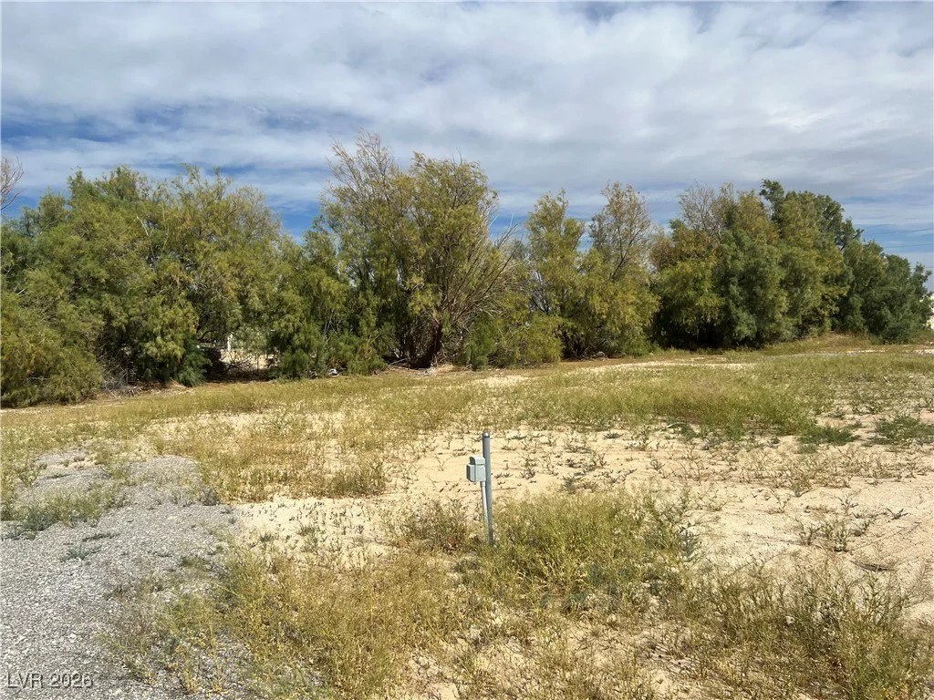 160 Leslie, Pahrump, NV 89048