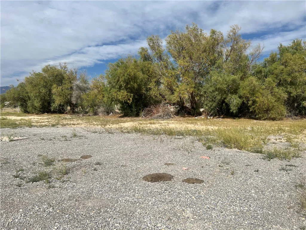 160 Leslie, Pahrump, NV 89048