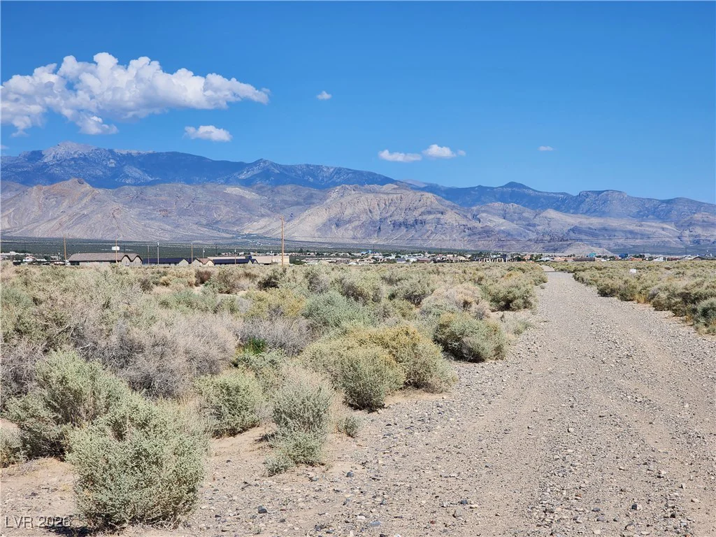 1621 Deputy, Pahrump, NV 89048