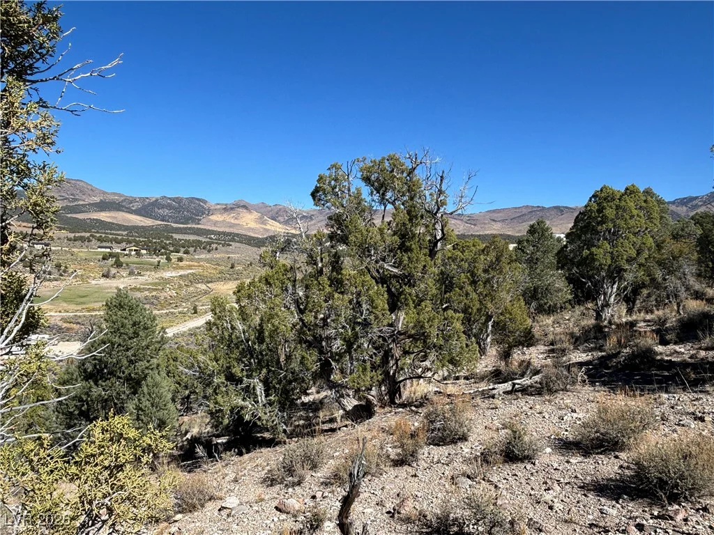 East Creek, McGill, NV 89301