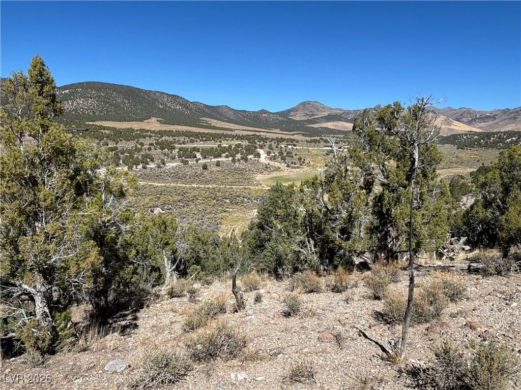 East Creek, McGill, NV 89301