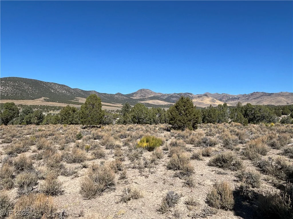 East Creek, McGill, NV 89301