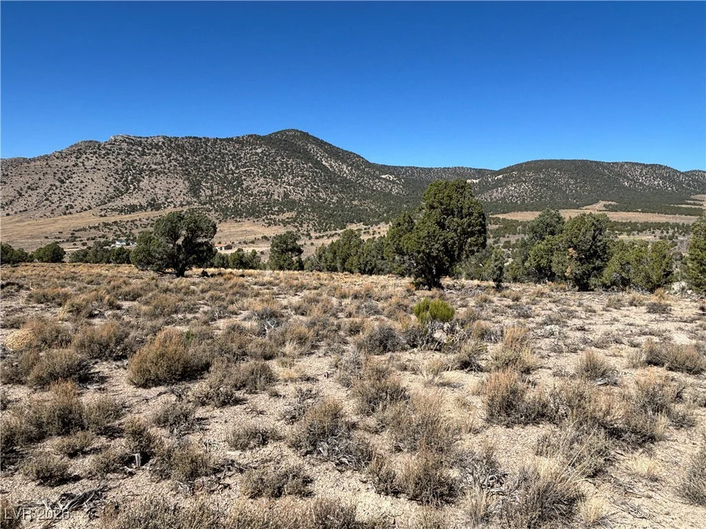 East Creek, McGill, NV 89301